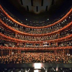 Meet your Posher, Tess